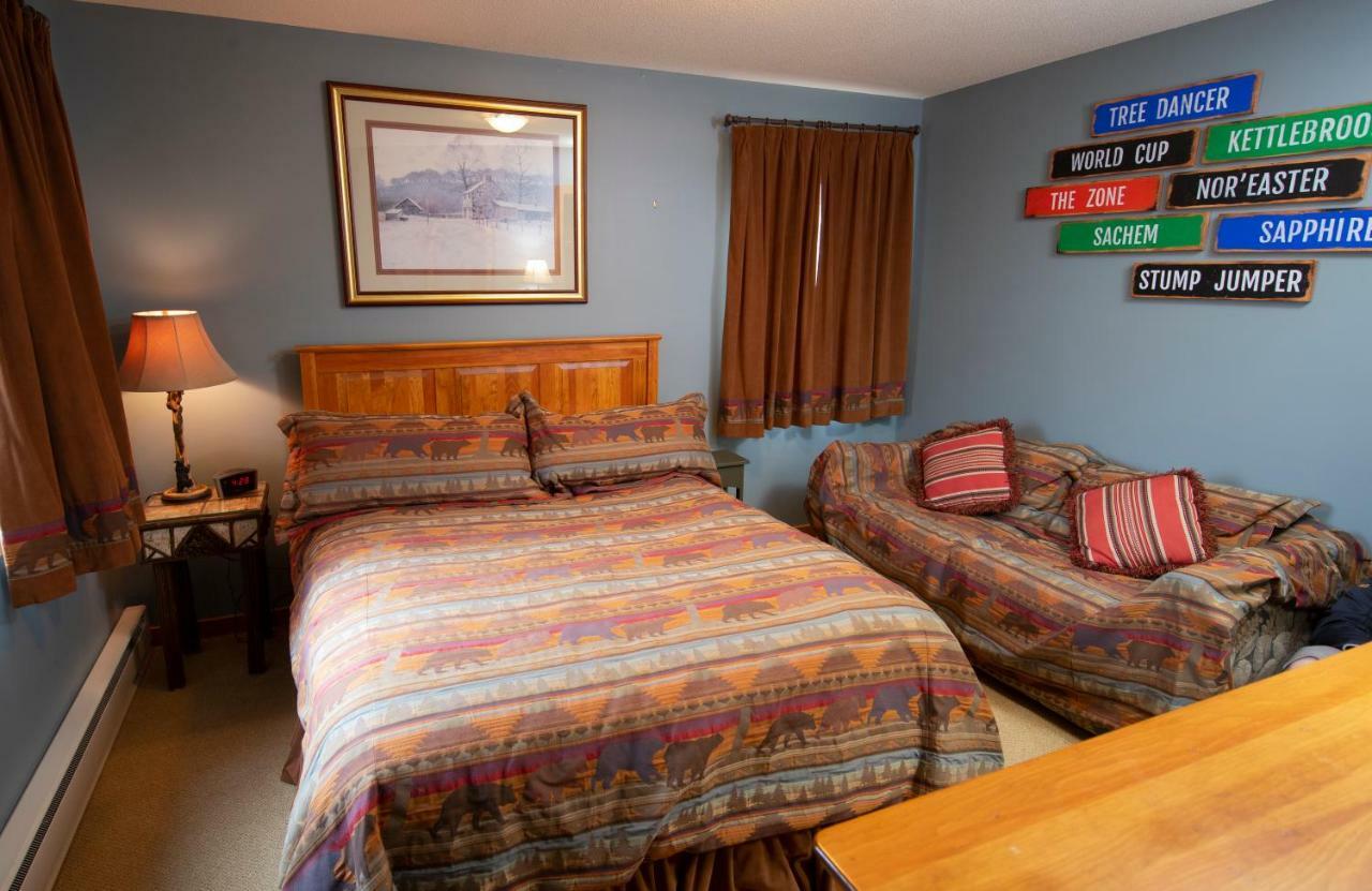 Okemo Mountain Lodging Ludlow Dış mekan fotoğraf